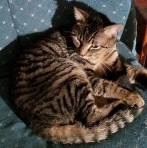 Meet your Posher, Debbie